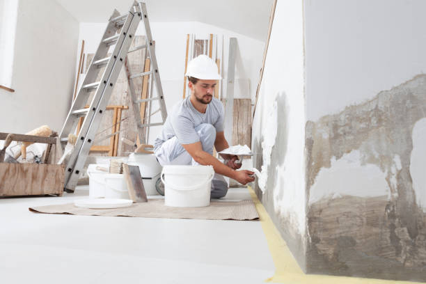 Professional Mold Removal in Meridian, TX