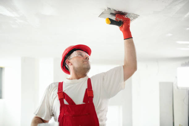 Best Mold Removal for HVAC Installations  in Meridian, TX