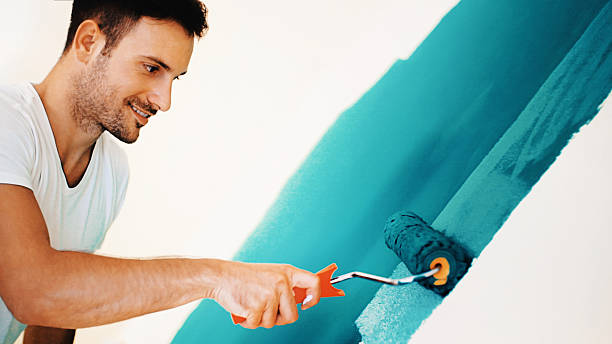 Best Mold Odor Removal Services  in Meridian, TX