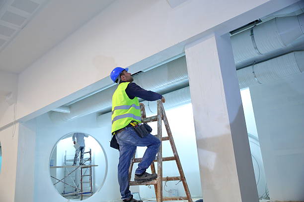 Best Commercial Mold Inspection  in Meridian, TX